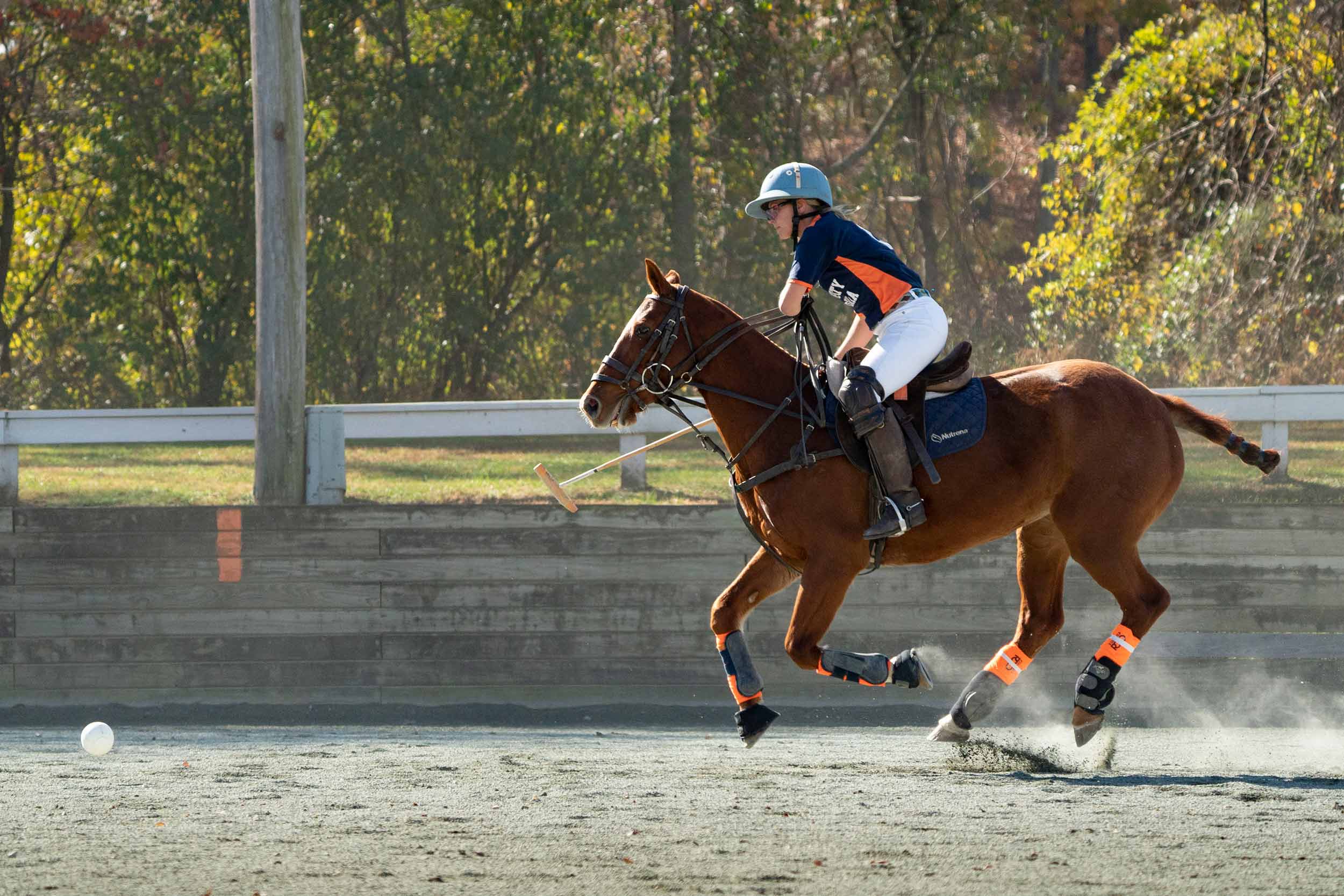Student polo member riding a horse during a match