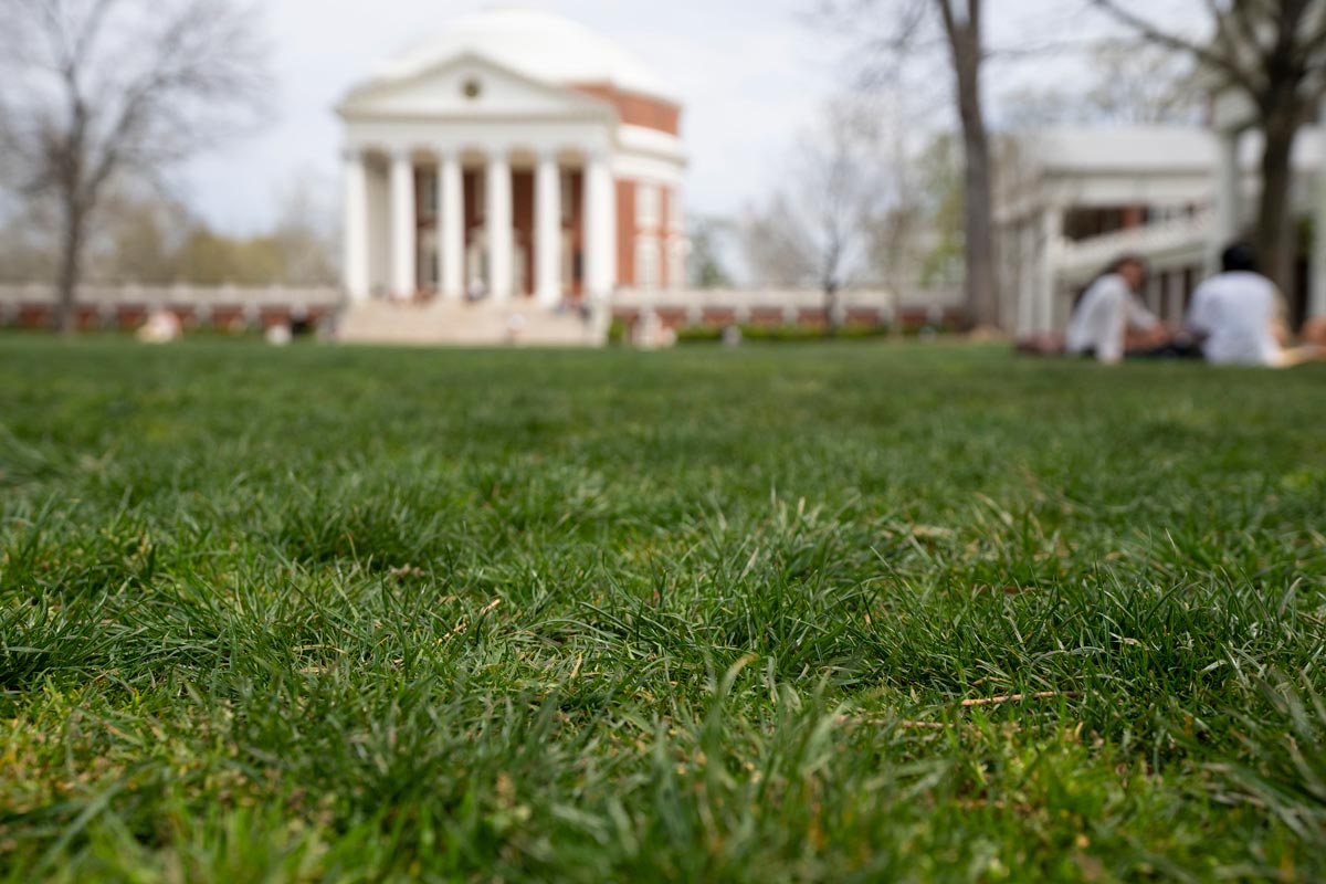 News How UVA Preps the Lawn for Final Exercises The University of