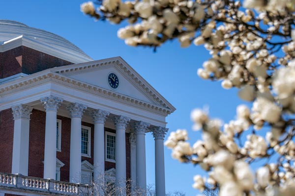 Looking up at the Rotunda from beside a magnolia tree in full bloom