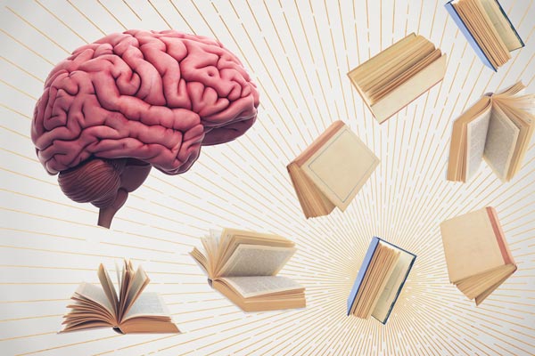 Illustration of a brain and books flying about